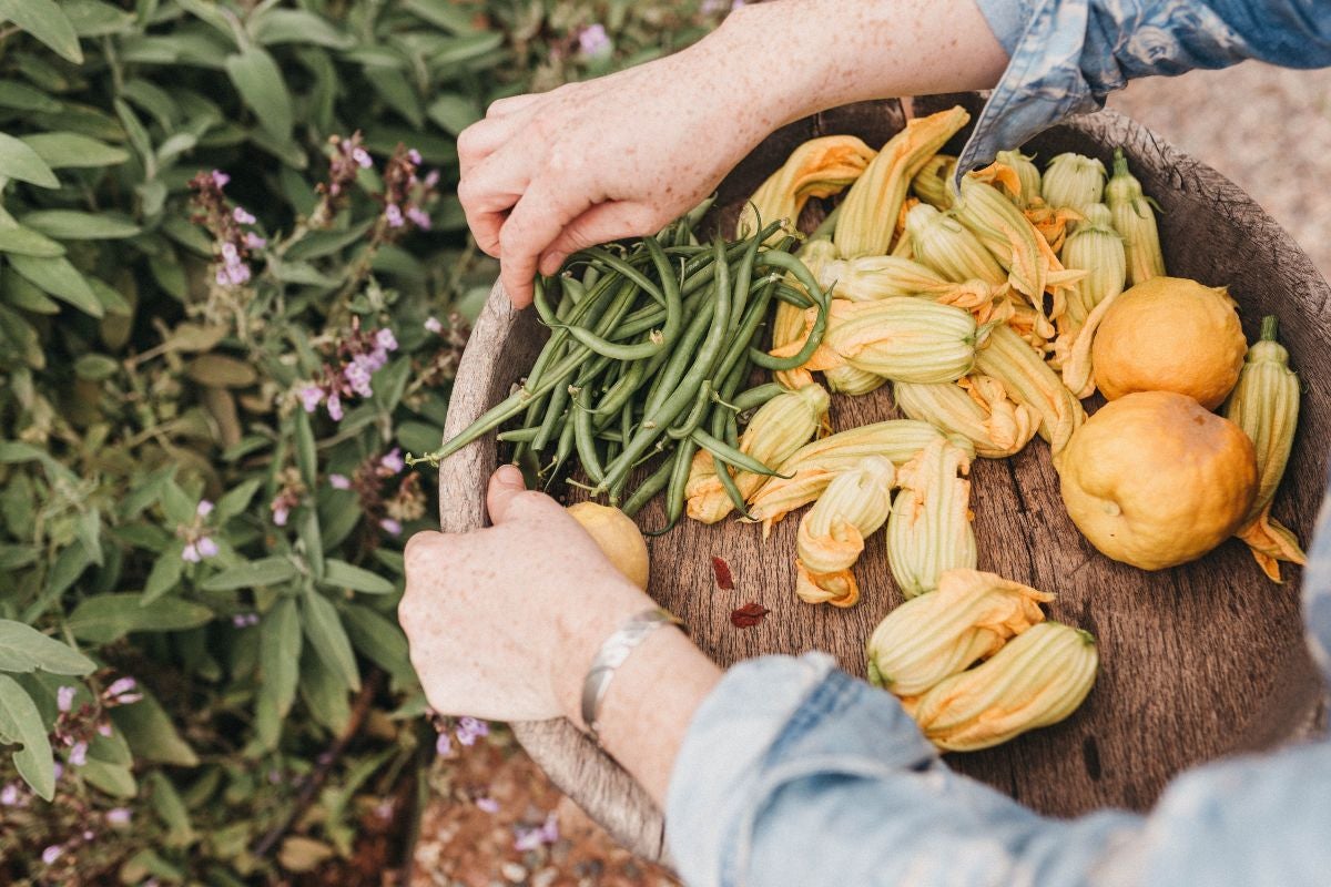 Raccolta di ortaggi in Marocco