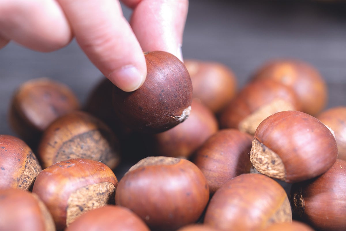 Come spellare le castagne crude