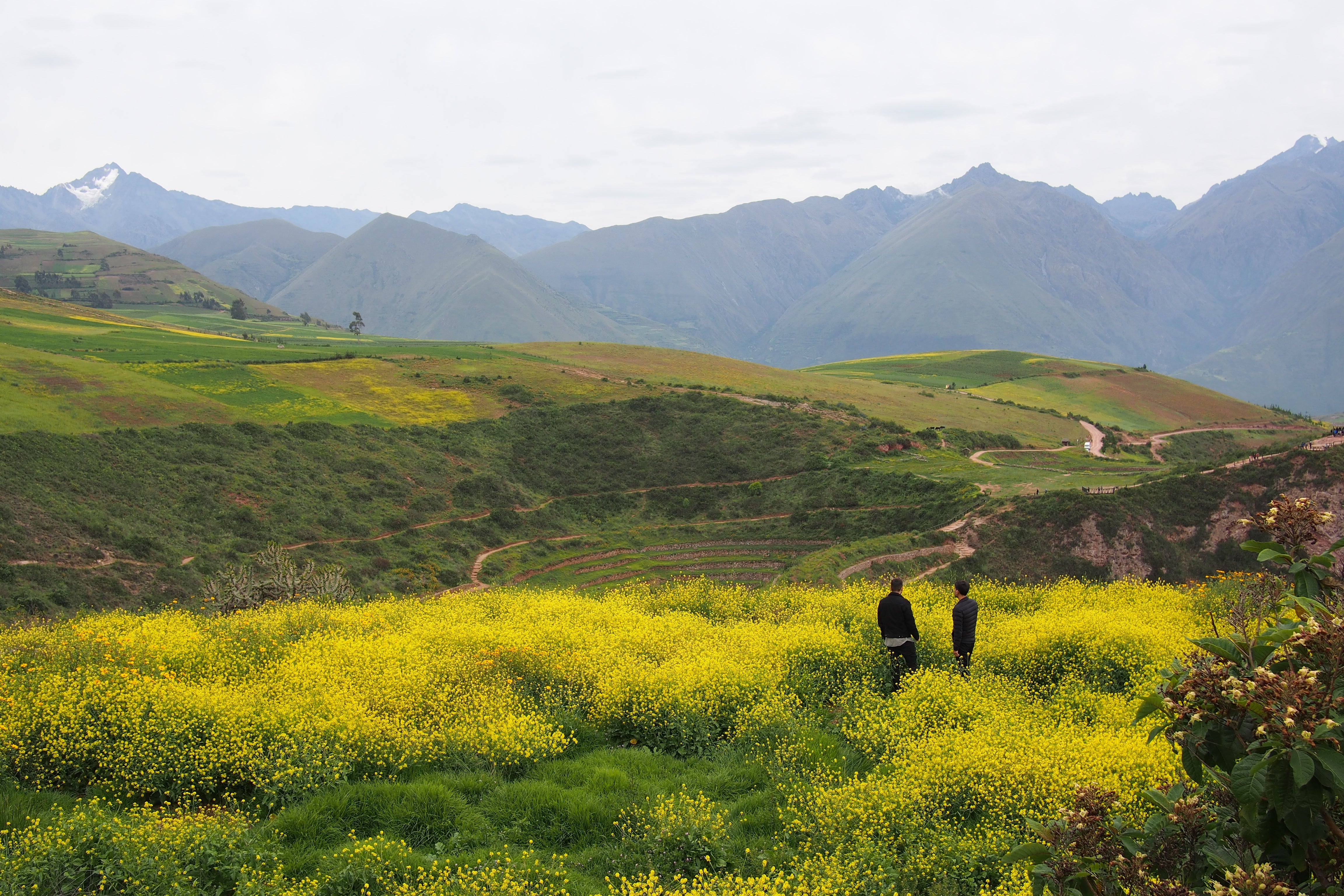 Afuera hay más fotoreport