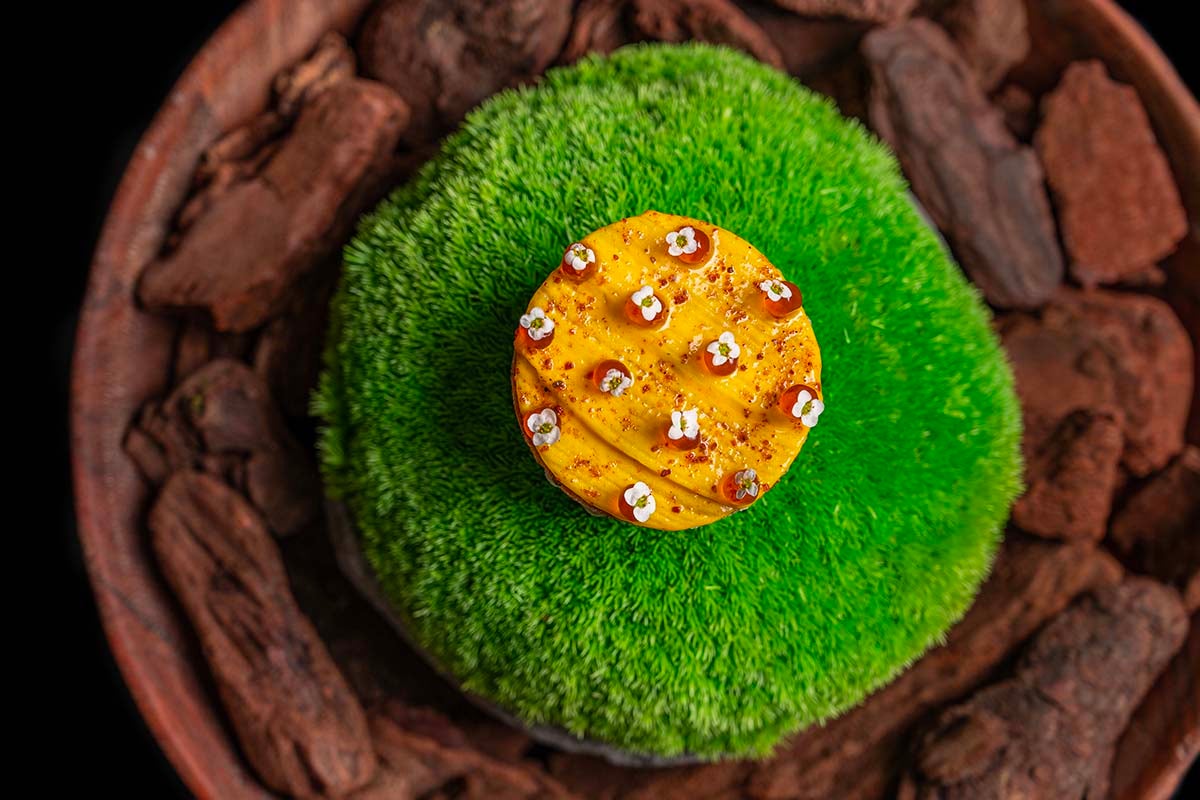 Capasanta alla senape e miso, banana matura, tortino di patate (pianure costiere)
