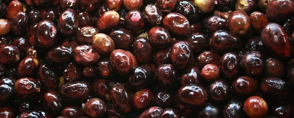 Bubba's Bag of Photos