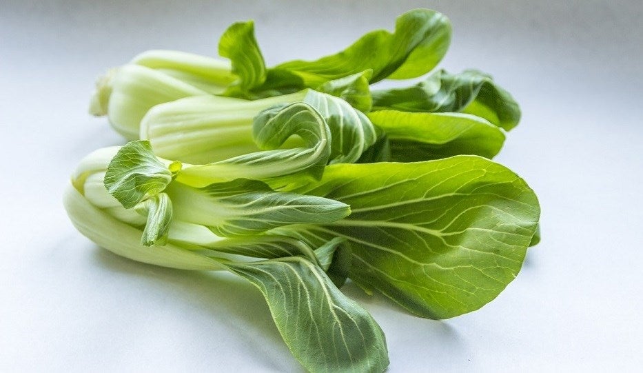 pak_choi_verdura