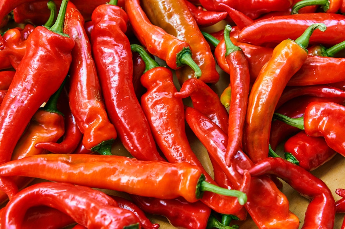 Peperone di Pontecorvo