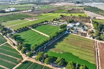 masseria mancini