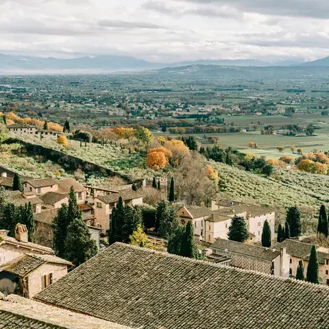 veduta aerea di case e alberi durante il giorno