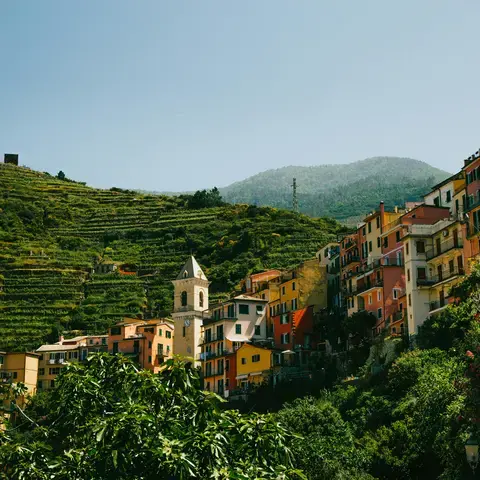 case di cemento vicino agli alberi