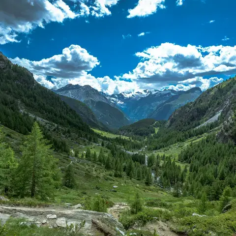 una vista di una valle in montagna