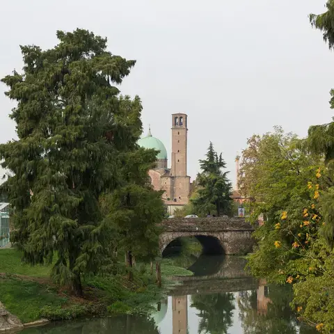 un fiume con un ponte e alberi