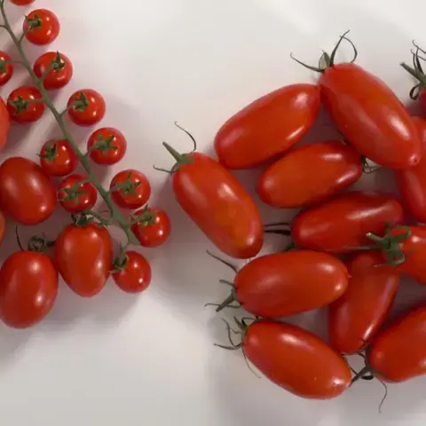 Segreti per cucinare pomodori