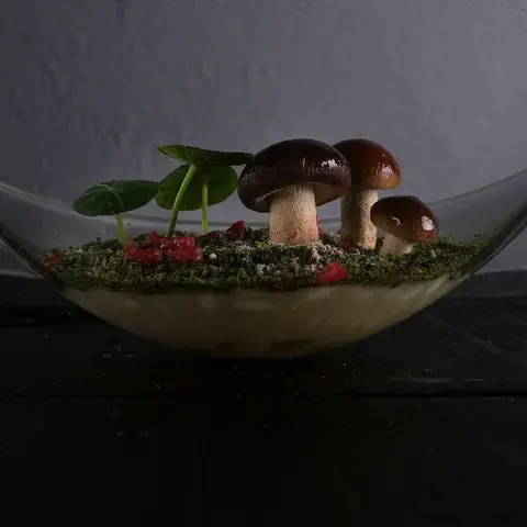 Un piatto di Edoardo Tilli - Podere Belvedere