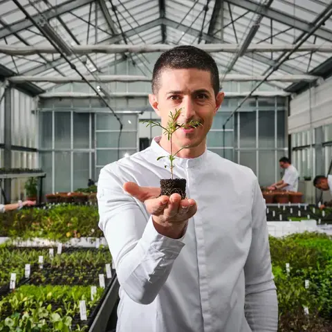 Michelangelo Mammoliti La Rei Natura - serra