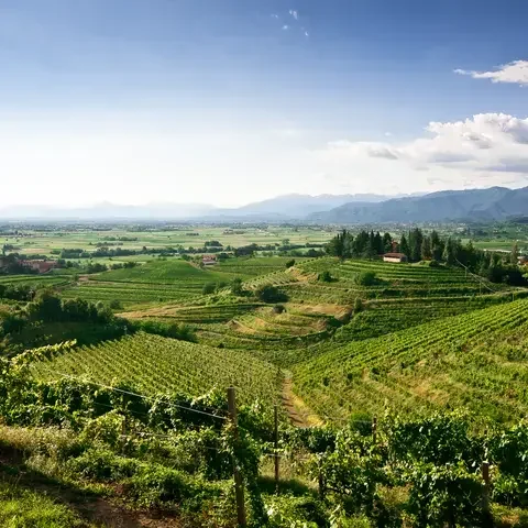 Friuli Venezia Giulia