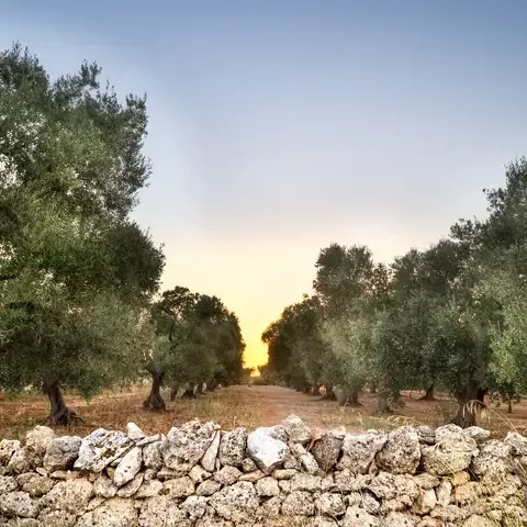 Puglia