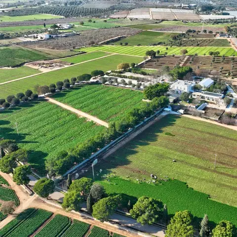 masseria mancini