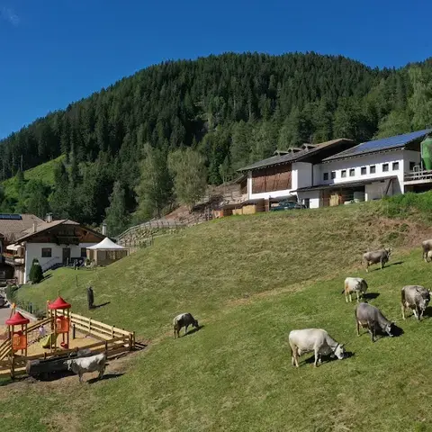 Agritur Maso Fior Di Bosco - VALFLORIANA - TRENTINO