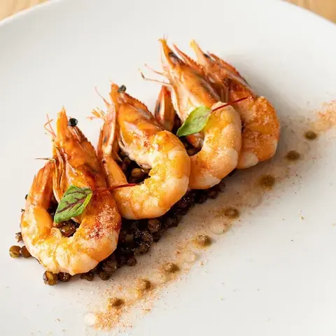 CENERE - Museum &amp; Bistrot