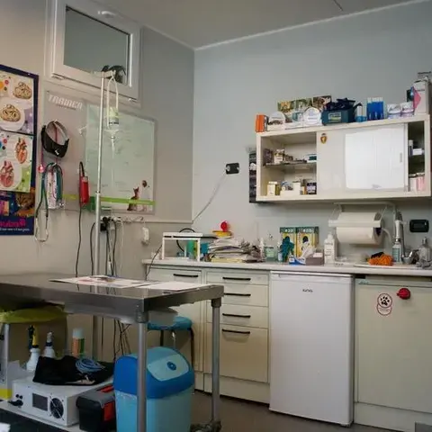 Clinica Veterinaria Pertusella Dr. Basilico e Dott.ssa Basta