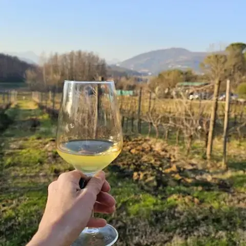 Fattoria Sardi Giustiniani