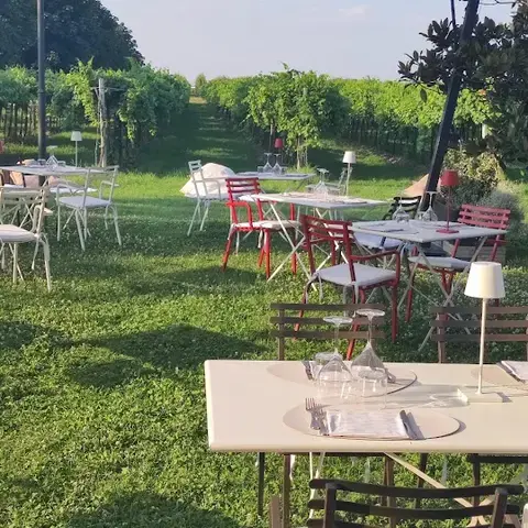 Foresteria Cavicchioli