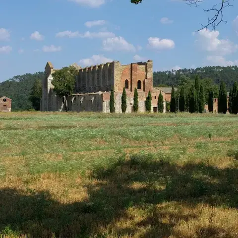 Località Palazzetto, 110