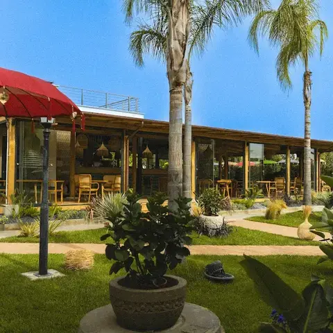 MUY - Sabor y Alegrìa