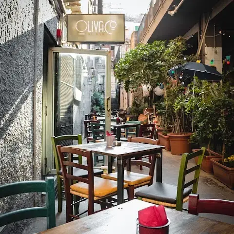 Oliva.co Mixology Bar