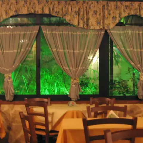 Pizzeria Pulcinella Trani