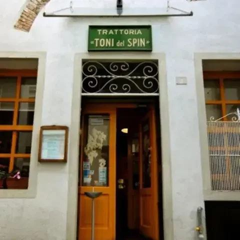 Toni del Spin
