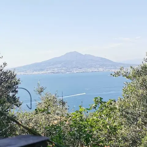 Villa Rosa di Nonna Rosa