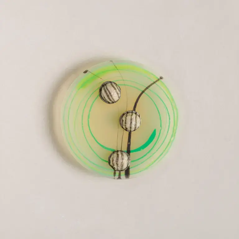 'Spaghetti' alle vongole