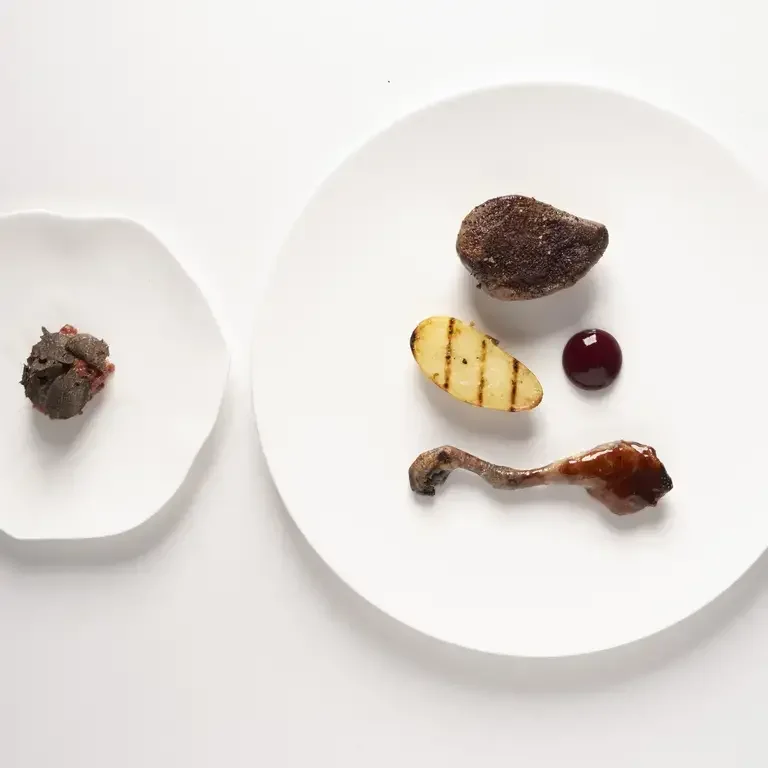 Borgia_Piccione_BorgiaMilano_cheg Giacomo Lovato