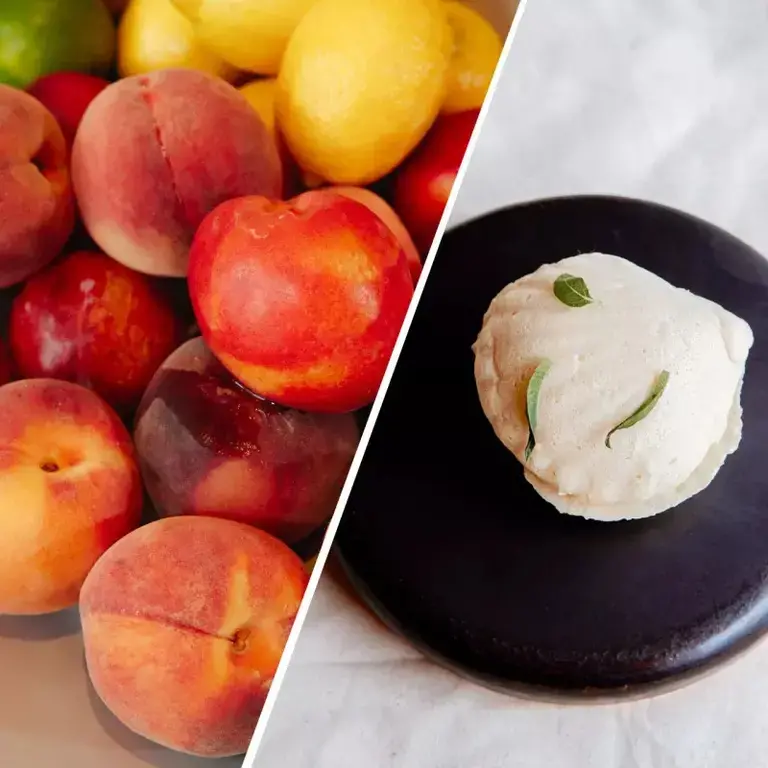 DOMINIQUE_CRENN_FRUIT_RECIPE