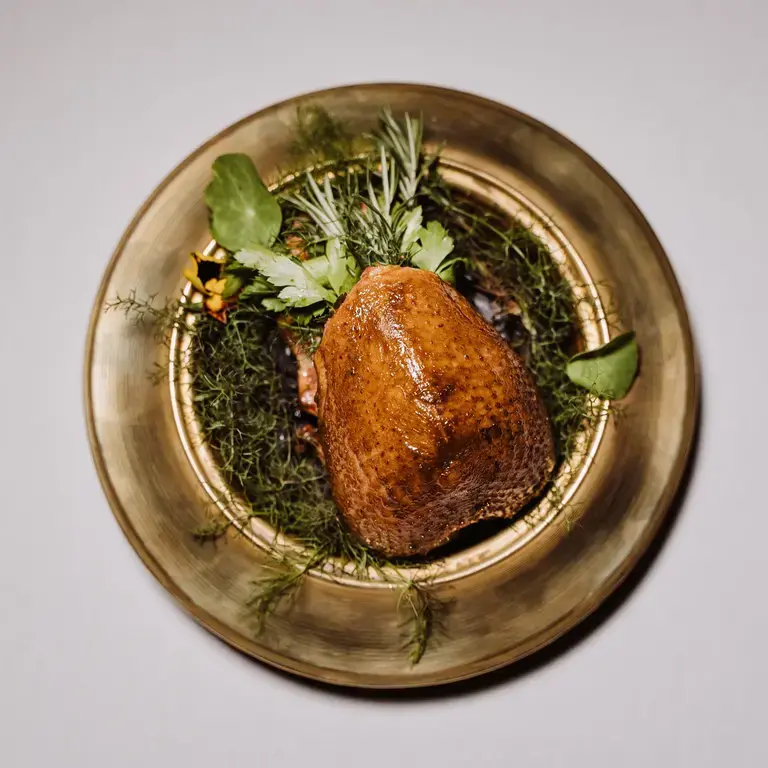 Sapio_Piccione in conca