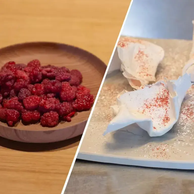 TROISGROS_FRUITS_RECIPE