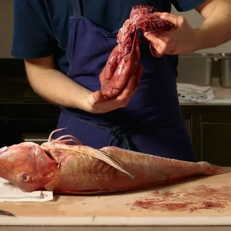 Da Lucio taglio pesce