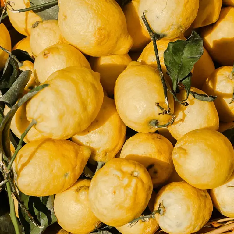 Limoni