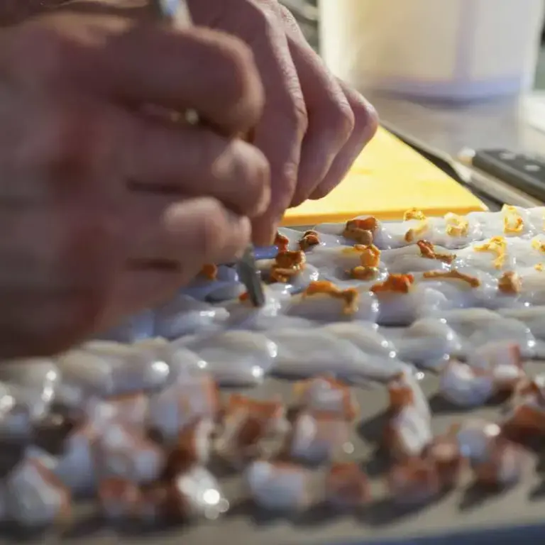 La murena di Jacopo Ticchi