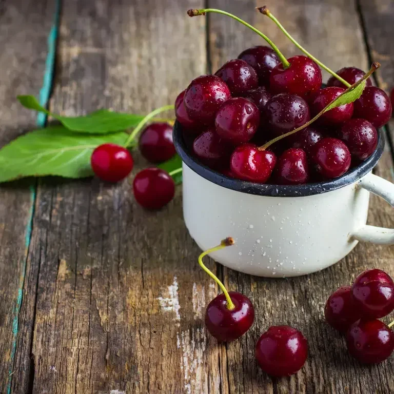 differenza tra ciliegie e amarene - Fine Dining Lovers