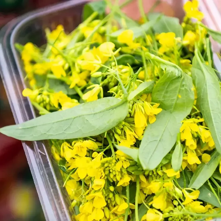 Cracco Portofino - Fiori