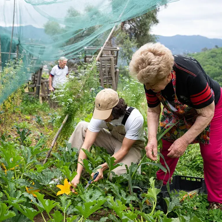 Cracco Portofino - Orto