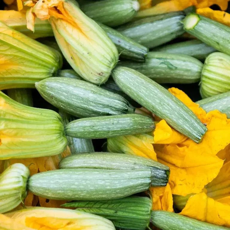 Cracco Portofino - Zucchine