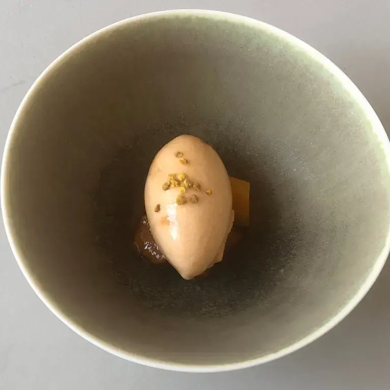 Sorbetto all’albicocca, tino e rosmarino