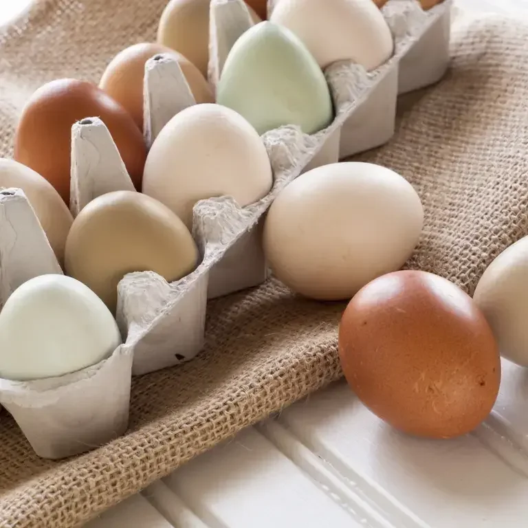 come pastorizzare le uova - Fine Dining Lovers