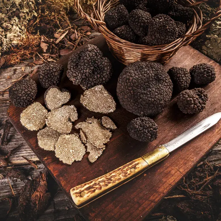 tartufo bianco o nero - Fine Dining Lovers