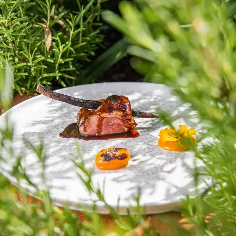 Agnello steccato alla liquirizia e albicocca