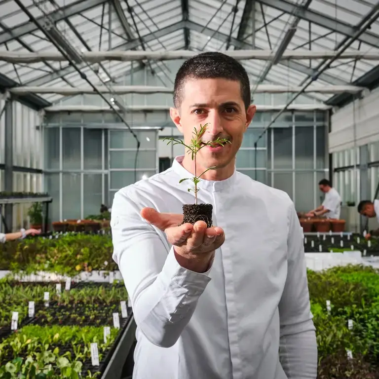 Michelangelo Mammoliti La Rei Natura - serra