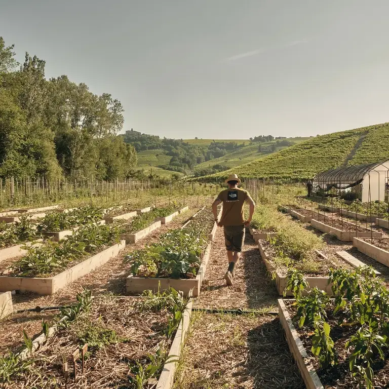 Michelangelo Mammoliti nell'orto