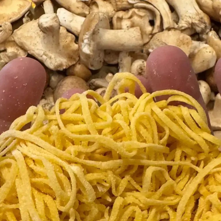La Limonaia d Villa Senni: tagliolini