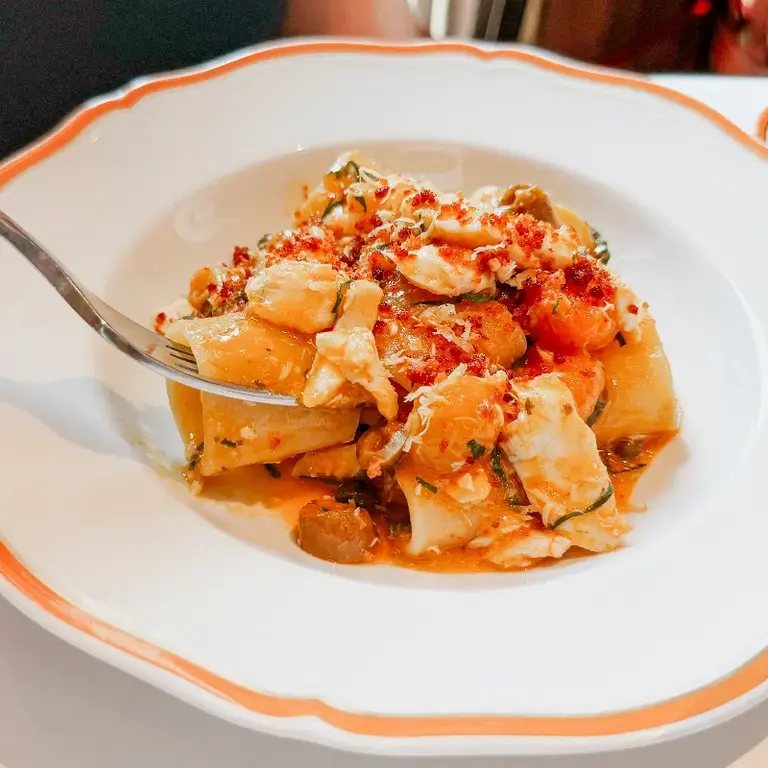 Paccheri al branzino impiattati - Langosteria