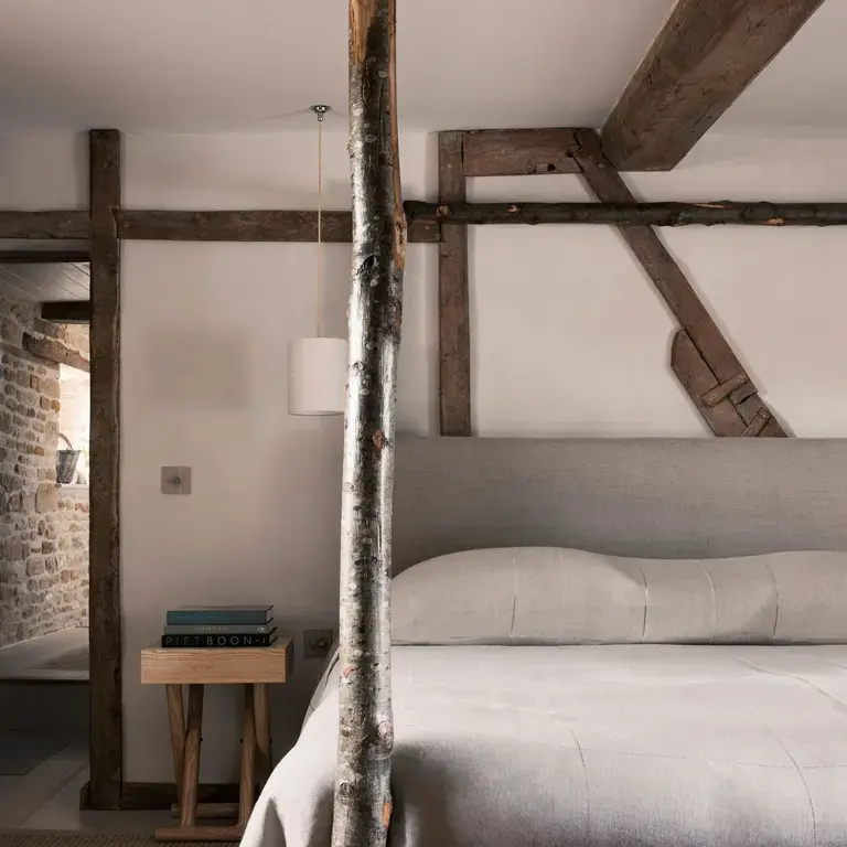 The Wild Rabbit - camere